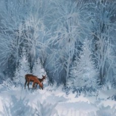 斑馬麥麥 蝶古巴特餐巾紙 (1231-1240), Multi-color, 1