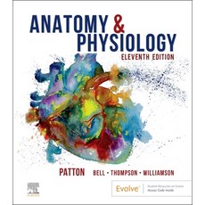 (英文圖書) Anatomy & Physiology (Includes A&p Online Course) 精裝版, Elsevier, 英文