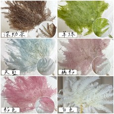 【W&T花藝資材】台灣現貨永生芒萁葉-乾燥花/永生花/花藝設計/居家裝飾, 白色