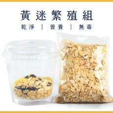 黃色迷你麵包蟲, 50條, 黃色