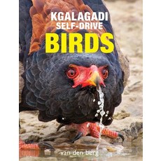 (英文圖書) Kgalagadi Self-Drive Birds 平裝版, HPH Publishing, 英文