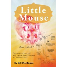 (英文圖書)Little Mouse 平裝版, Balboa Press, 英文