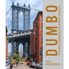 Dumbo: The Making of a New York Neighborhood 精裝版, Rizzoli International Publications, 英文