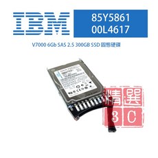 IBM V7000 6Gb SAS 2.5吋 300GB SSD 固態硬碟 85Y5861 00L4617