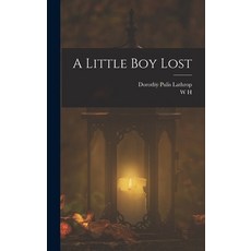 (英文圖書)A Little boy Lost 精裝版, Legare Street Press, 英文