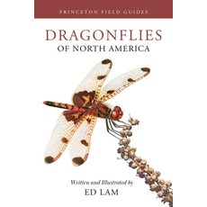 (英文圖書) Dragonflies of North America 平裝版, Princeton University Press, 英文
