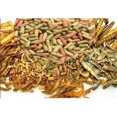 仟虹 澤龜飼料 含南極蝦乾 麵包蟲乾 黑水虻, 精緻12合一烏龜主食,1000ml