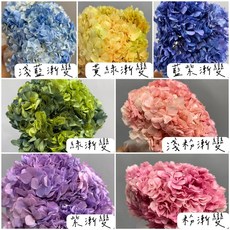 W&T花藝資材 台灣現貨 大葉繡球 夢幻繡球 DIY花材 永生花 乾燥花, 白色