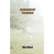 (英文圖書) Creation of Wonders 平裝版, Creative Arts Management Ou, 英文