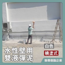 聯韋樹脂 L-210 水性壁用雙液彈泥–白色（噴塗式）彈性水泥 防水彈泥 壓克力水泥 噴槍噴塗 防水隔熱 牆面, 1個