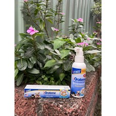 Oratene 白樂汀 三酵合一口腔軟膏 / 噴劑, 口腔軟膏 28g, 28g