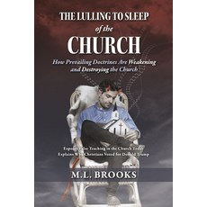 (英文圖書) The Lulling to Sleep of the Church: How Prevailing Doctrines Are Weakening and Destroying the... 平裝版, Bookbaby, 英文