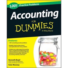 1 001 Accounting Practice Problems for Dummies