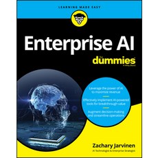 Enterprise AI for Dummies 平裝版, 英文