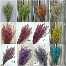 W&T花藝資材 不凋卡斯比亞 乾燥花材/永生花配材 DIY手作花束材料 台灣現貨, 蒂芙妮綠