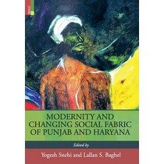 (英文圖書) Modernity and Changing Social Fabric of Punjab and Haryana 精裝版, Primus Books, 英文