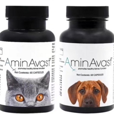 AminAvast 胺腎 安心停 寵物腎臟保健品 貓/大型犬適用 60粒/瓶【24hr現貨 原裝公司貨】, 1個, 小狗, 60顆