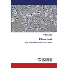 Fibroblast 平裝版, LAP Lambert Academic Publishing, 英文