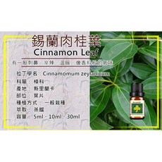 錫蘭肉桂葉精油 斯里蘭卡進口 芳療級植物萃取 舒緩身心 滋潤肌膚 5ml/10ml/30ml
