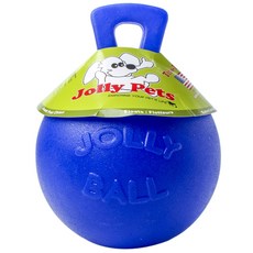 Jolly Pets 寵物狗玩具球 XL號 20.3cm, 1個, 藍色