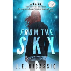 (英文圖書)From The Sky 平裝版, Createspace Independent Pub..., 英文