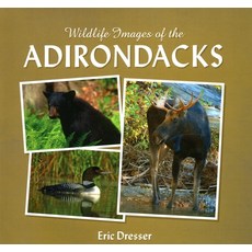 (英文圖書) Wildlife Images of the Adirondacks 精裝版, North Country Books, 英文