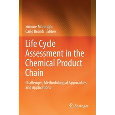 Life Cycle Assessment in the Chemical Product Chain: Challenges Methodological Approaches and Appli... 平裝版, Springer, 英文