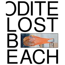 (英文書) Louise Enhörning： Lost Time Aphrodite Beach 平裝版, Mousse Publishing, 英文