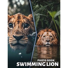 (英文圖書) Swimming Lion Photo Book: Experience 40 Stunning Images Showcasing Lions in Wat... 平裝版, Independently Published, 英文