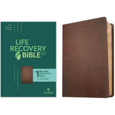 NLT Life Recovery Bible Second Edition (Leatherlike Rustic Brown) Leather, Tyndale House Publishers, 英文, 皮革