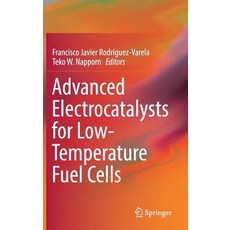 Advanced Electrocatalysts for Low-Temperature Fuel Cells 精裝版, Springer, 英文