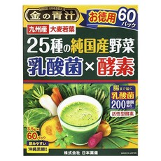 TheGolden 25種蔬菜乳酸菌酵素粉, 1盒, 210g