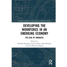 Developing the Workforce in an Emerging Economy: The Case of Indonesia 精裝版, Routledge, 英文