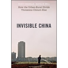 (英文圖書) Invisible China: How the Urban-Rural Divide Threatens China's Rise 平裝版, University of Chicago Press, 英文