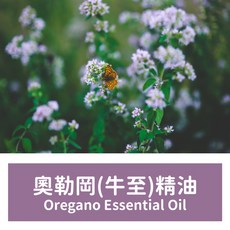 馥靖精油 奧勒岡精油 (牛至精油) Oregano Essential Oil, 10ml, 牛至