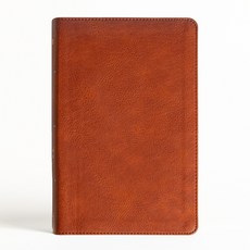 (英文圖書) NASB Large Print Personal Size Reference Bible Burnt Sienna Leathertouch Imitation Leather, Holman Bibles, English