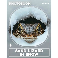 (英文圖書) Sand Lizard in Snow Photo Book: Explore Unique Landscapes Featuring 40 Stunning... 平裝版, Independently Published, 英文