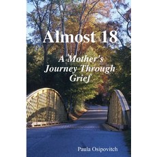 (英文圖書) Almost 18 A Mother's Journey Through Grief 平裝版, Lulu.com, 英文