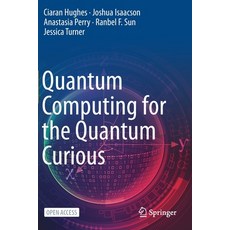 (英文圖書) Quantum Computing for the Quantum Curious 平裝版, Springer, 英文