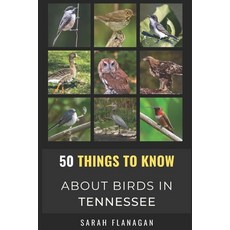 (英文圖書) 50 Things to Know About Birds in Tennessee: Birding in the Volunteer State 平裝版, Independently Published, 英文