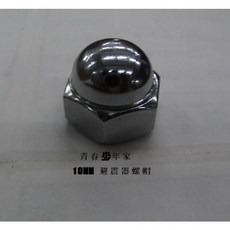 少年家 SYM 三陽 原廠 野狼 後避震器螺帽 10MM 機車零件