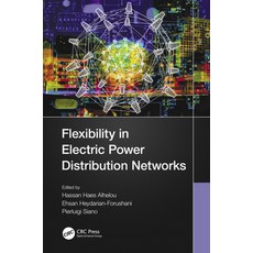 (英文圖書) Flexibility in Electric Power Distribution Networks 平裝版, CRC Press, 英文