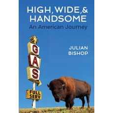(英文圖書) High Wide and Handsome: An American Journey 平裝版, Travellers Press, 英文