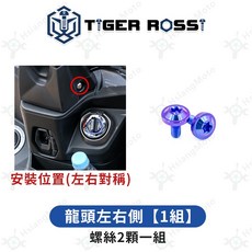 Roma GT 鈦合金螺絲 寶藍 鐵板牙 車殼螺絲 改裝, 詳見包裝, 19_龍頭左右側【1組】