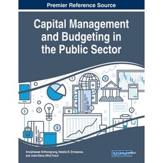 Capital Management and Budgeting in the Public Sector 平裝版, Business Science Reference, 英文