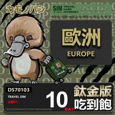 歐洲鈦金版吃到飽網卡, 10天