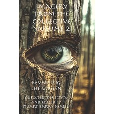 (英文圖書) Imagery from the Collective - Volume 2: Revealing the Unseen: Gazing into the V... 平裝版, Zhameesha LLC, 英文