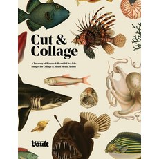 (英文圖書) Cut and Collage 平裝版, Vault Editions Ltd, 英文