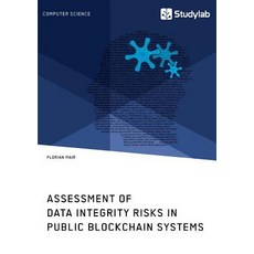 Assessment of Data Integrity Risks in Public Blockchain Systems 平裝版, Studylab, 英文