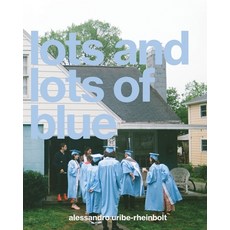(英文圖書) Lots and Lots of Blue 平裝版, Blurb, 英文